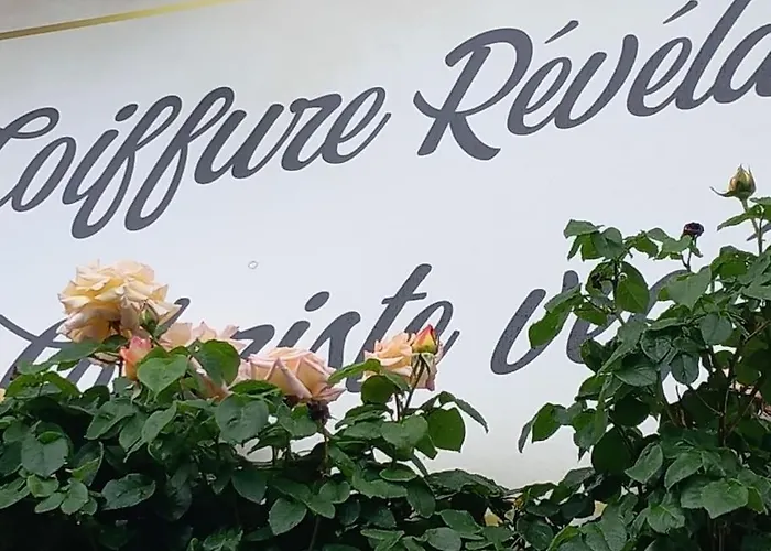 L'atelier Des Reves Un Moment Magique Prive * Beaune (Cote d'Or)